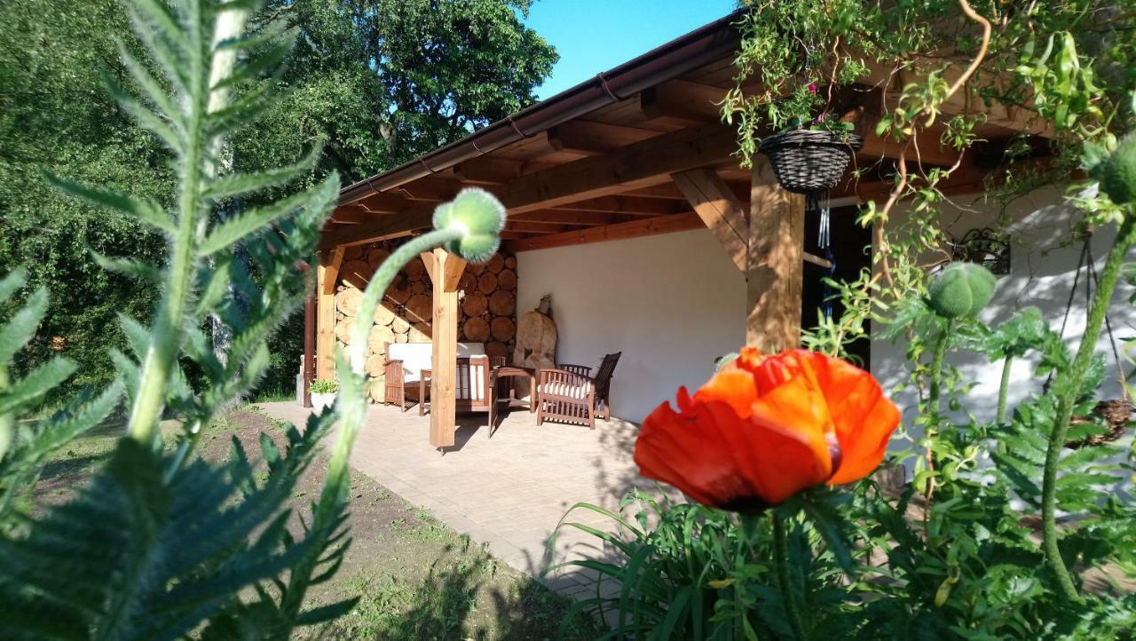 Forest Rustic Apartment Brdy Vesin ภายนอก รูปภาพ