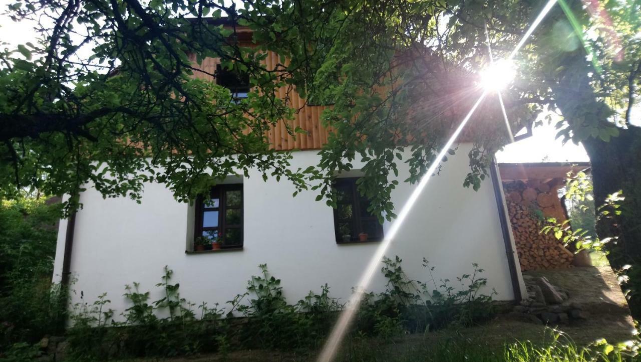 Forest Rustic Apartment Brdy Vesin ภายนอก รูปภาพ